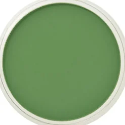 PanPastel, 26605, Artist Pastel, Chromium Green, 660.5 - Model Train Junction: Quality Parts and Art Supplies New