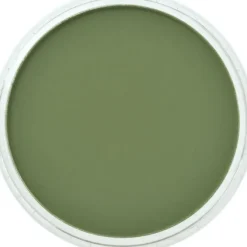 PanPastel, 26603, Artist Pastel, Chromium Green Shade, 660.3 - Model Train Junction: Quality Parts and Art Supplies Online