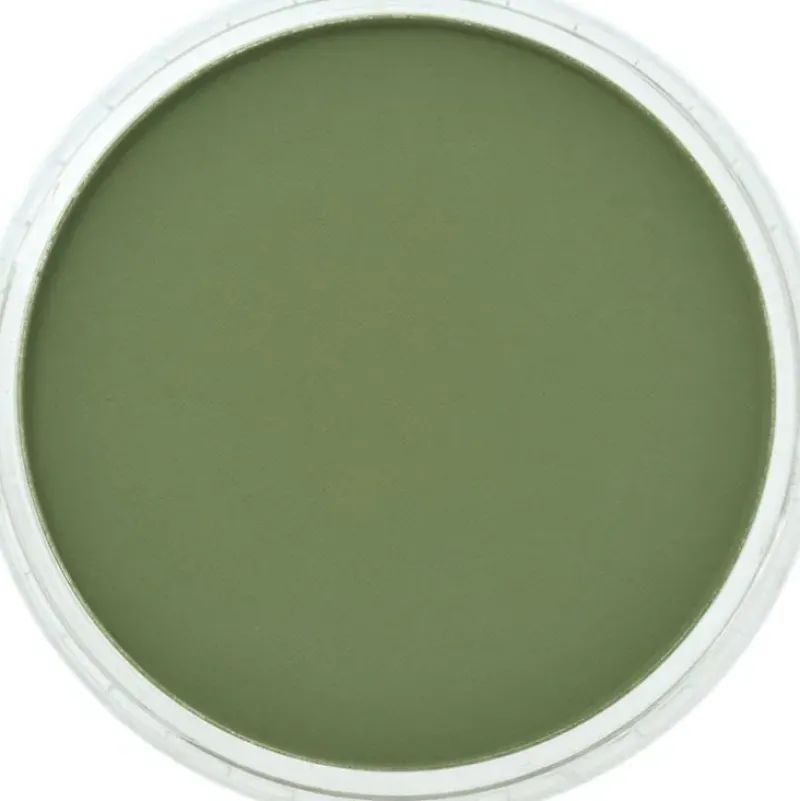 PanPastel, 26603, Artist Pastel, Chromium Green Shade, 660.3 - Model Train Junction: Quality Parts and Art Supplies Online