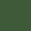 Tru-Color Paint, TCP-023, Airbrush Ready, CP Rail Action Green, 1 oz - Model Train Junction: Quality Parts and Art Supplies Sale