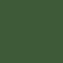 Tru-Color Paint, TCP-023, Airbrush Ready, CP Rail Action Green, 1 oz - Model Train Junction: Quality Parts and Art Supplies Sale