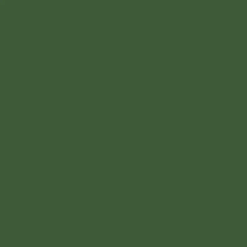 Tru-Color Paint, TCP-023, Airbrush Ready, CP Rail Action Green, 1 oz - Model Train Junction: Quality Parts and Art Supplies Sale
