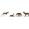 Woodland Scenics A2185 N Scenic Accents Deer Figures (Set of 6) - Model Train Junction: Quality Parts and Art Supplies Best