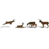 Woodland Scenics A2738 O Scenic Accents Deer Figures (Set of 6) - Model Train Junction: Quality Parts and Art Supplies Discount
