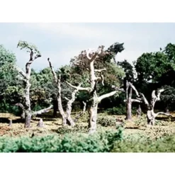 Woodland Scenics TK22 HO 2.62" - 3.25" Dead Small Tree Kits (Pack of 5) - Model Train Junction: Quality Parts and Art Supplies Outlet