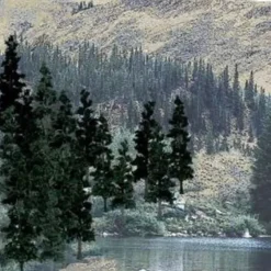 Woodland Scenics TR1581 4"- 6" Tall Conifer Colors Ready Made Trees (Pack of 24) - Model Train Junction: Quality Parts and Art Supplies Online