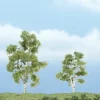 Woodland Scenics TR1603 3" - 2.25" Sycamore Ready-Made Premium Trees (Pack of 2) - Model Train Junction: Quality Parts and Art Supplies Clearance