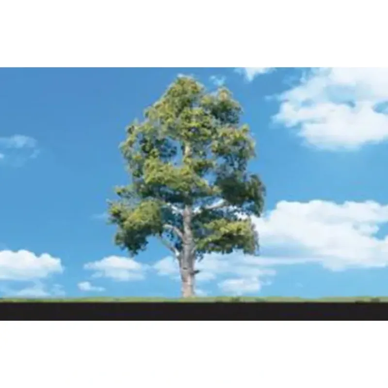 Woodland Scenics TR3534 3" - 4" Waters Edge Deciduous Trees (Pack of 3) - Model Train Junction: Quality Parts and Art Supplies New