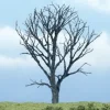 Woodland Scenics TR1614 4.25" Dead Maple Ready-Made Premium Tree - Model Train Junction: Quality Parts and Art Supplies New