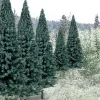 Woodland Scenics TR1587 2" - 4" Blue Spruce Ready Made Trees (Pack of 18) - Model Train Junction: Quality Parts and Art Supplies